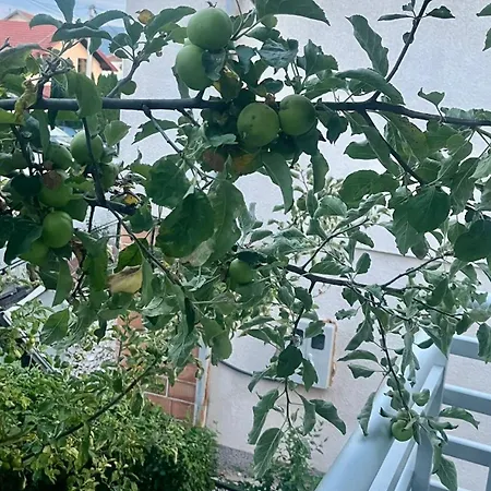 شقة جنة Gana apartment Szarajevó