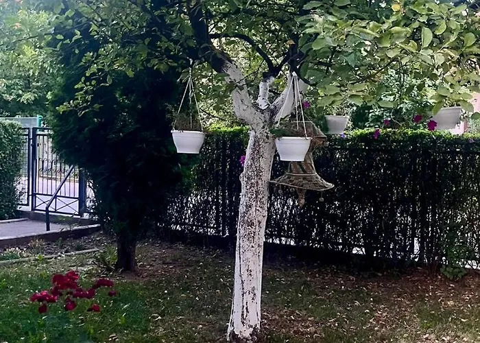 جنة Gana * Sarajevo